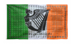 Ireland Soldiers Flag