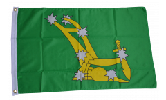 Ireland Starry Plough green 1916-1934 Flag