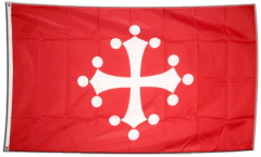 Italy Pisa Flag