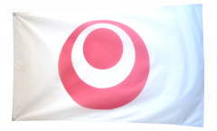 Japan Okinawa Flag