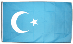 East Turkestan Flag