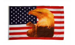 USA eagle with tear Flag