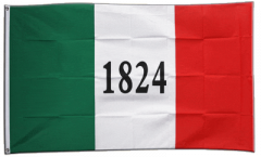 USA Alamo 1824 Flag