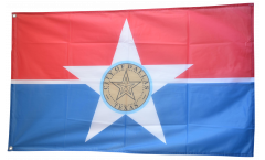 USA City of Dallas Flag
