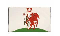 Wales Cardiff Flag