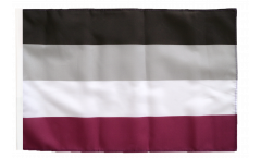 Asexual Flag with sleeve