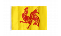 Belgium Wallonia Flag with sleeve