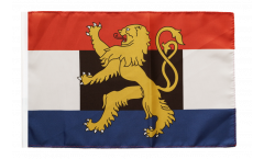 Benelux Flag with sleeve