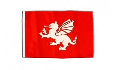 England white dragon Flag with sleeve
