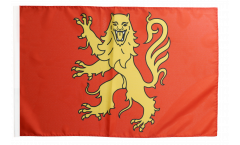 France Aveyron Flag with sleeve