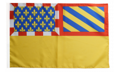 France Côte-d'Or Flag with sleeve