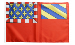 France Dijon Flag with sleeve