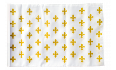 France Fleur-de-lis, white Flag with sleeve