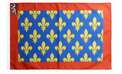 France Sarthe Flag with sleeve