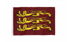 Great Britain Richard Lionheart Flag with sleeve