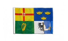 Ireland 4 provinces Flag with sleeve