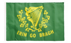 Ireland Erin Go Bragh Flag with sleeve