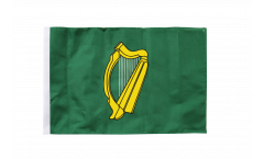 Ireland Leinster Flag with sleeve