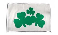 Ireland Shamrock Flag with sleeve