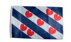 Netherlands Friesland Flag with sleeve