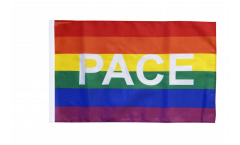 Rainbow with PACE Flag with sleeve