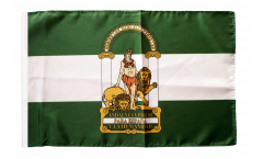Spain Andalusia Flag with sleeve