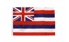 USA Hawaii Flag with sleeve