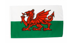 Wales Flag with sleeve