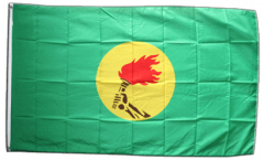 Zaire Flag