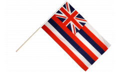 USA Hawaii Hand Waving Flag