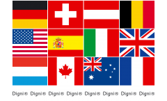 Digni International sticker