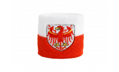 Italy South Tyrol Wristband / sweatband - 2.5 x 3.15 inch